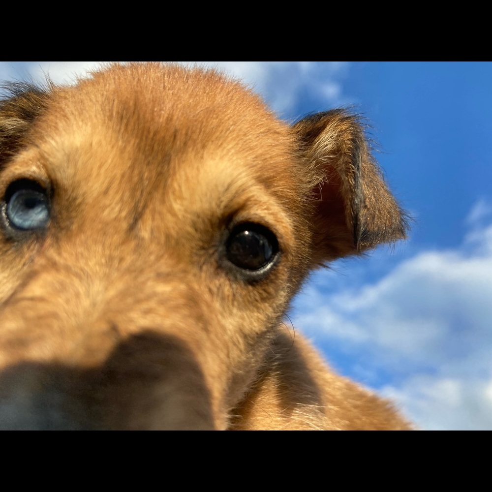 Meet your Posher, Kimberley